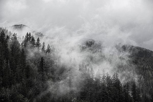 North Cascades Mountains-foggy mountain